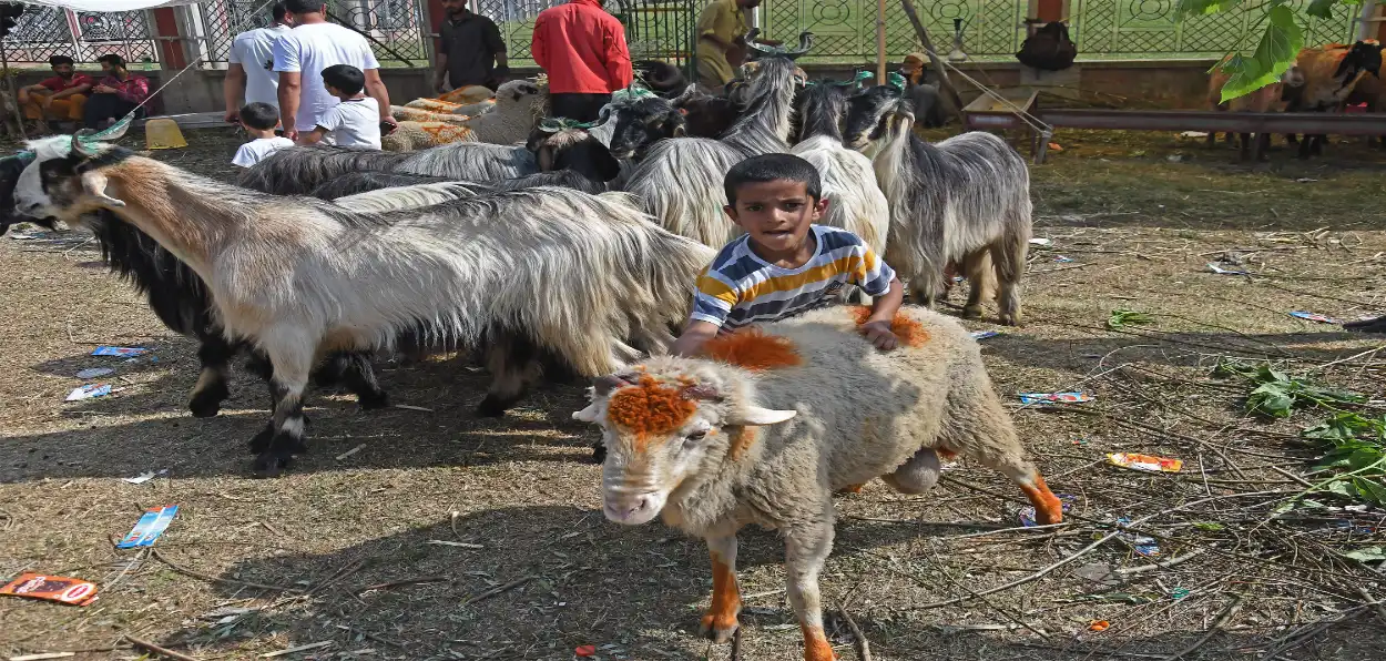 A Young boy with a goat in Bakra mandi of Srinagar, Kashmir (Basit Zargar)