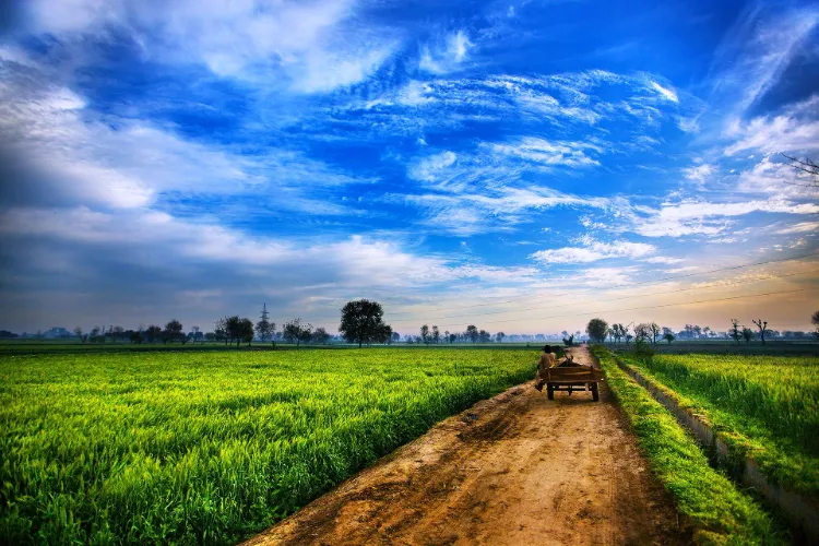 Haryana to receive 1372 Crore for Agriculture
