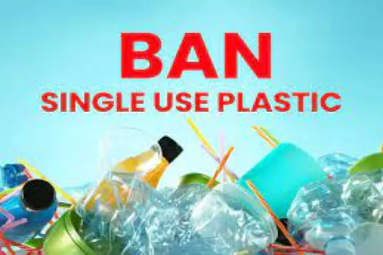 Representational image of ban on single-use plastic