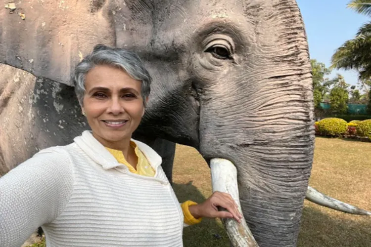 Award-winning wildlife filmmaker and elephant conservationist, Sangita Iyer wants to create awareness to save elephants  in India