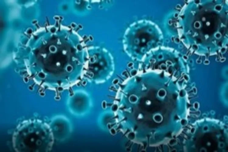 Covid 19 virus