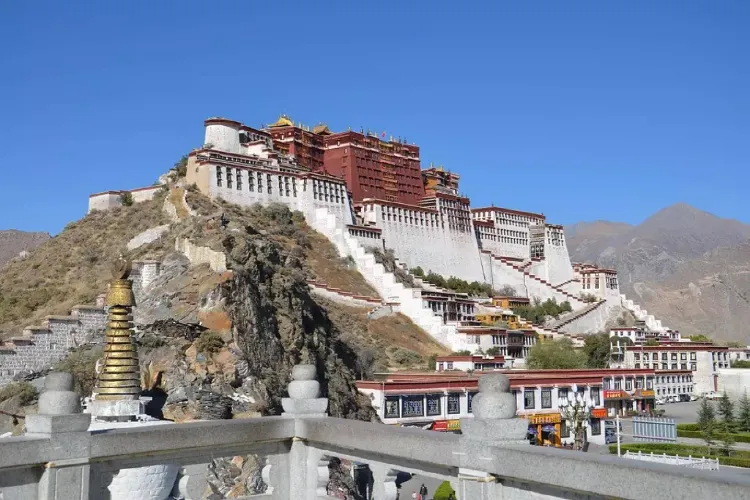 Tibetans appealed to Indian Government for a strong support