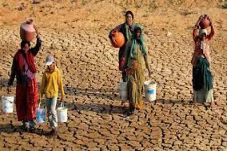 Central teams to visit K’taka to assess drought situation