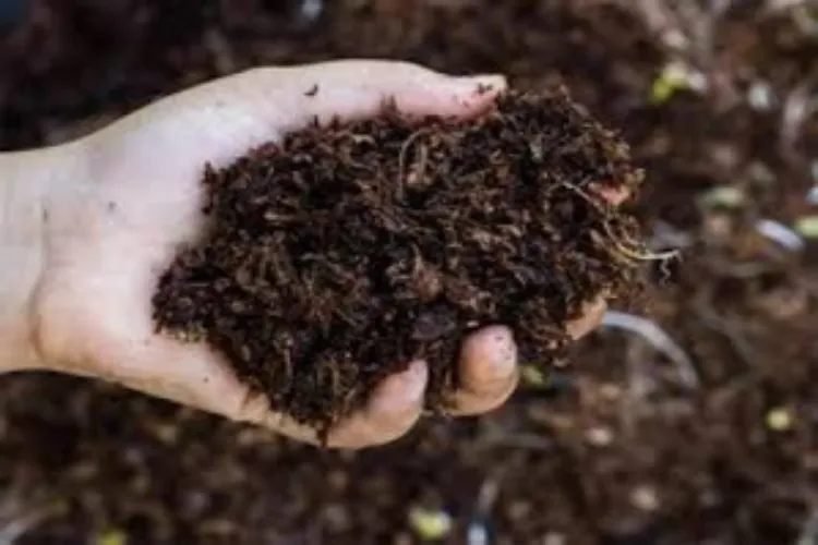 Fertiliser