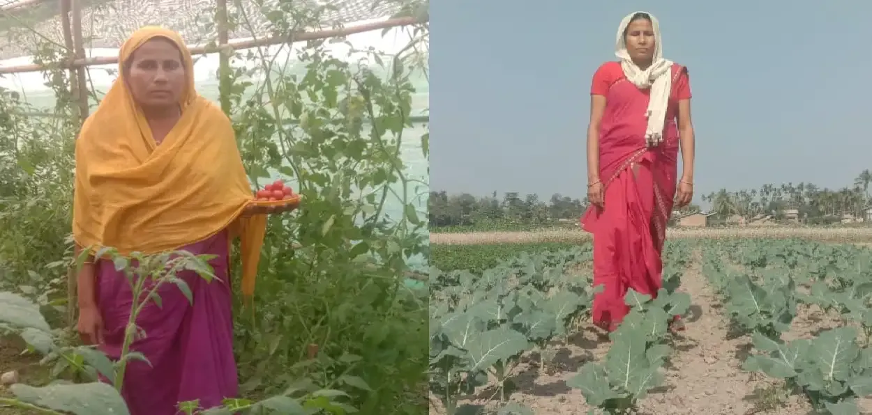 Tashida Khatoon, Assam first woman farmer and exporter of organic crops walking through her field