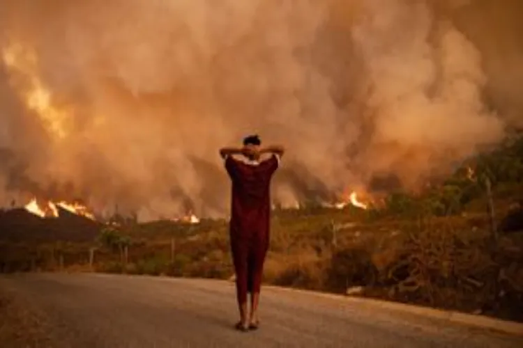 Climate change is going to affect the human brain very badly