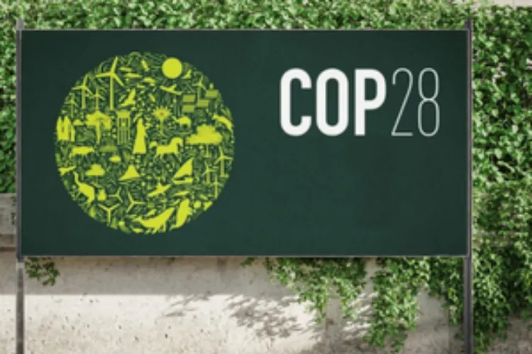 COP28: Joint action to be taken to meet the growing energy  challenges in Africa