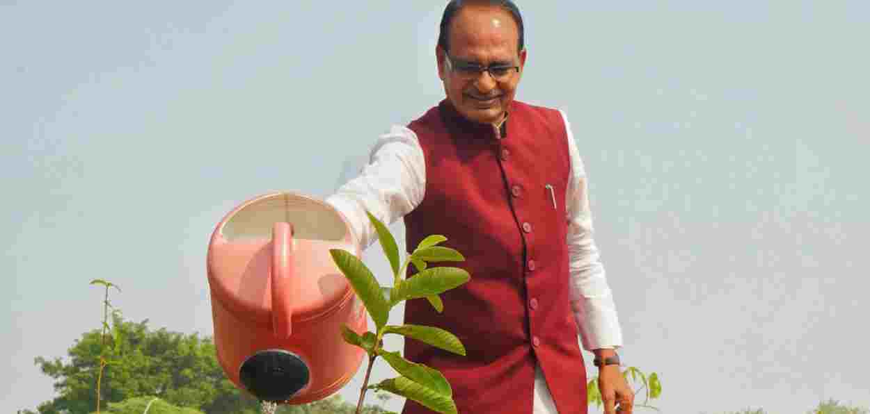 Shivraj Singh Chouhan planting a sapling on the day result of Assembly elections are being announced