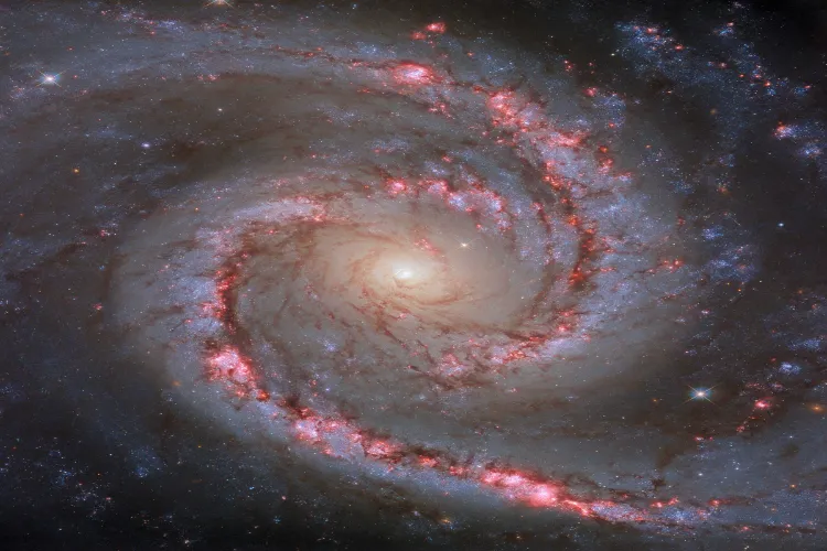 A bright spiral galaxy has been discovered by the Hubble Space Telescope