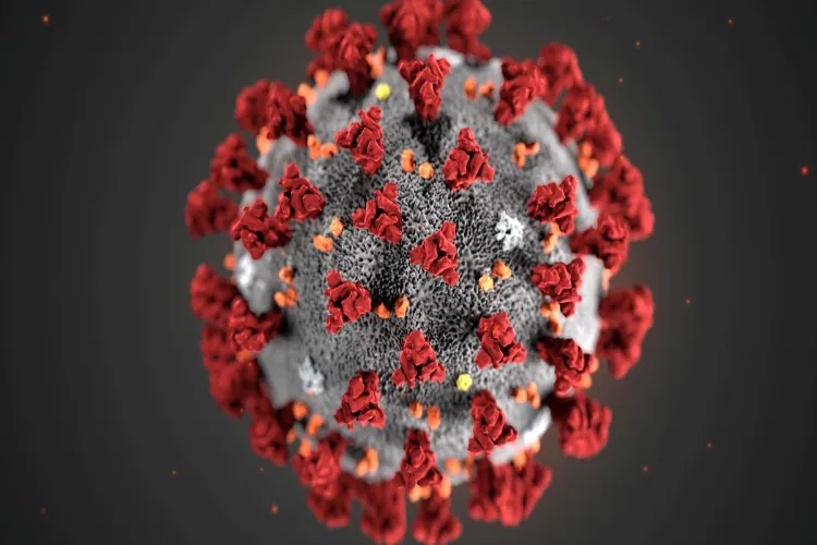Covid 19 virus