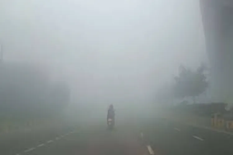 Fog in Delhi 