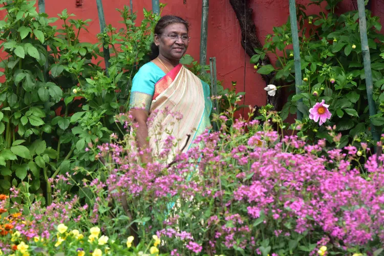 President Droupadi Murmu 