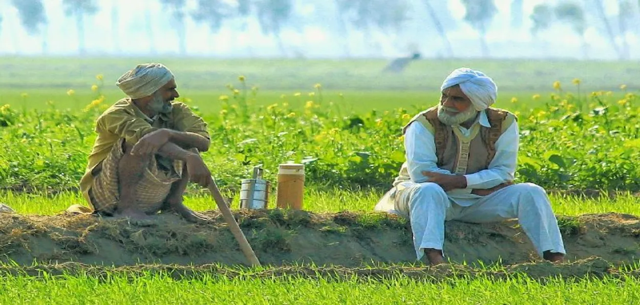 Farmers in a field 