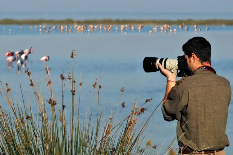 Birdwatching can help to de-stress 