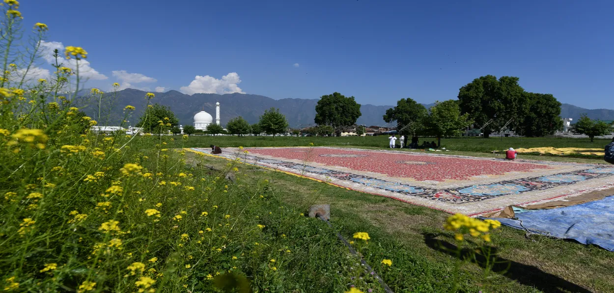 Asia's largest carpet on display in Srinagar (Pics by Basit Zargar)