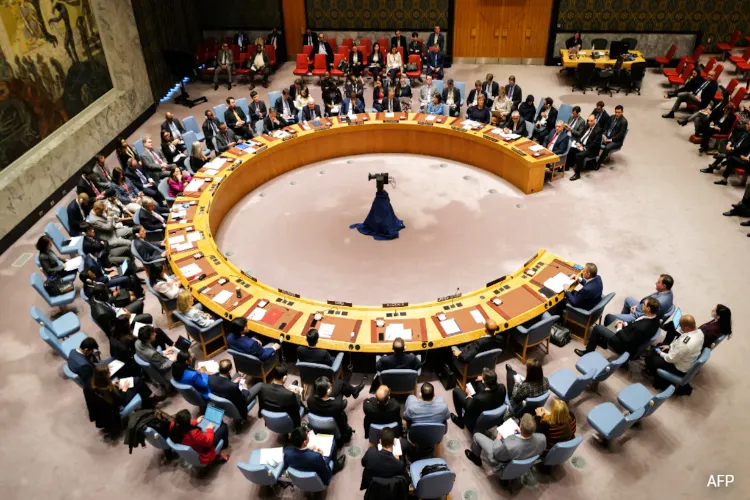 UN Security Council in session (File)