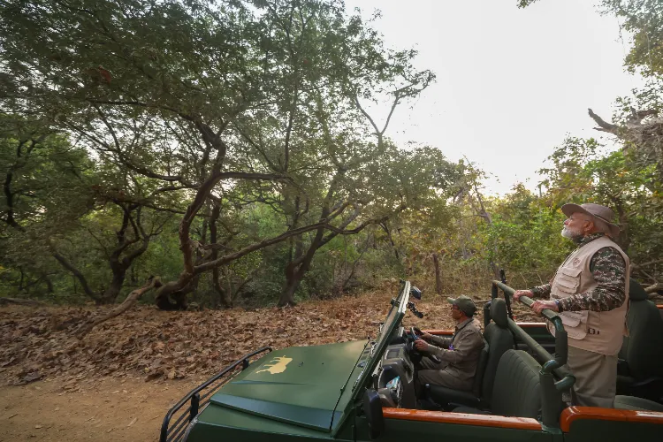 PM Modi goes on Lion Safari at Gir National Park on World Wildlife Day