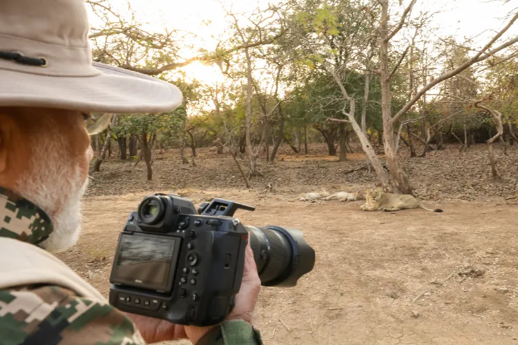 PM Modi explores Lion Safari at Gir National Park in Gir Somnath, Gujarat, on March 03, 2025