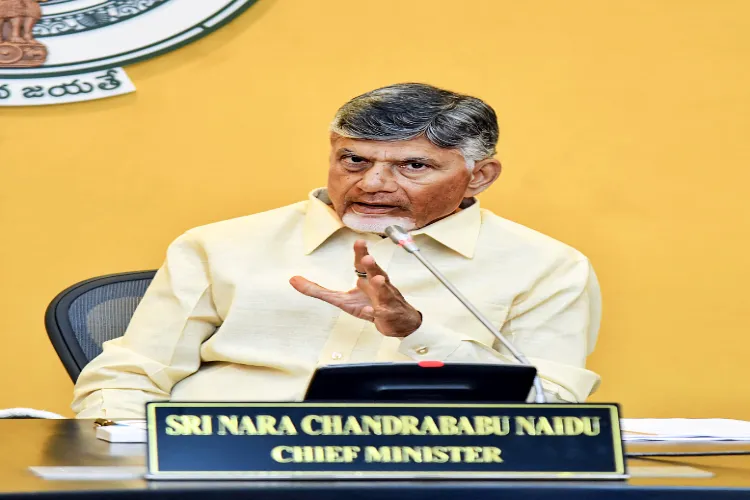 Andhra Pradesh Chief Minister N Chandrababu Naidu
