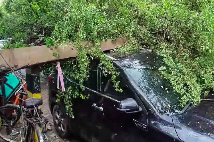 Vehicles and electric wires got damaged after a tree uprooted outside Don Bosco School due to heavy rains, in an area of South Delhi on Friday 