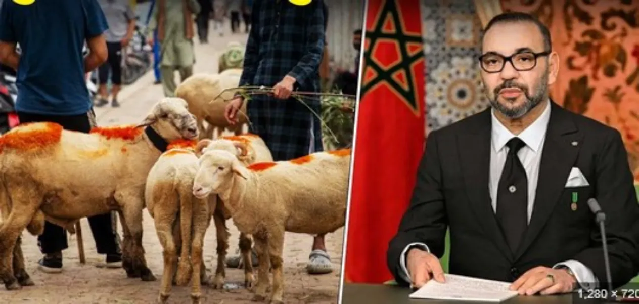 Morroco King  Mohammed VI 