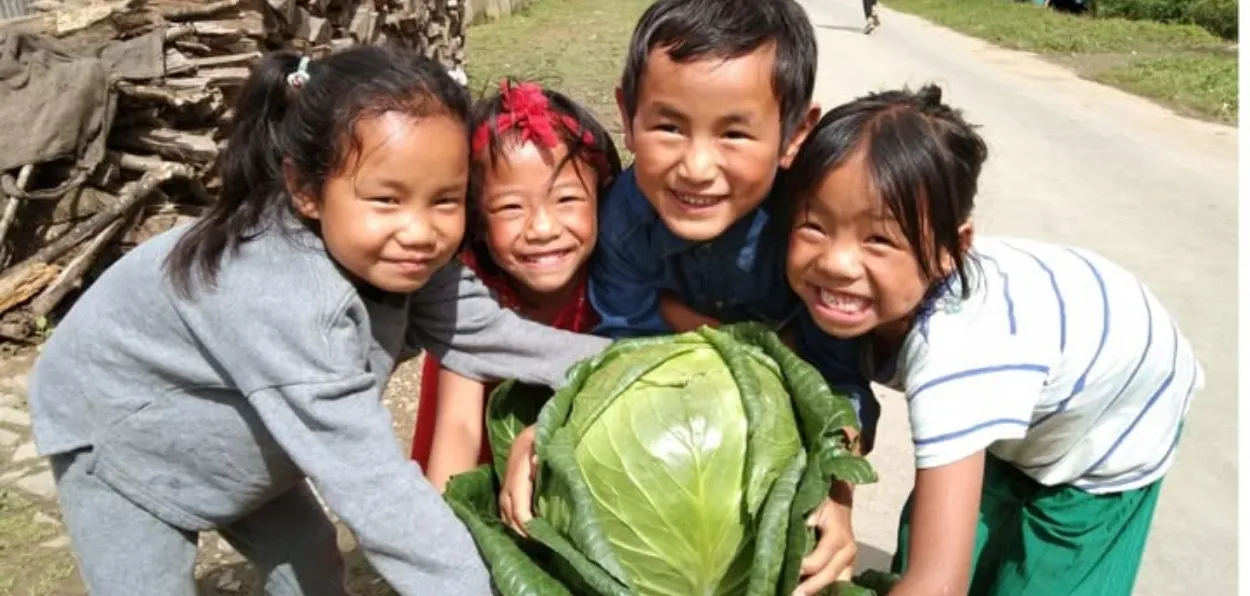 Children of  Zhaimai village (Liyai) showing the 7.6 kg cabbage grown (R K Paul Chawang on Facebook)