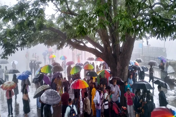 People carrying their umbrellas on a rainy day in Shimla