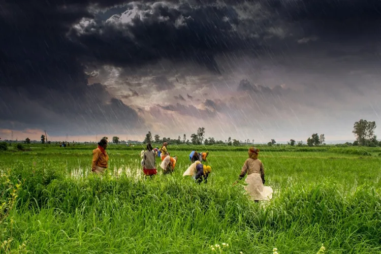 Representational Image