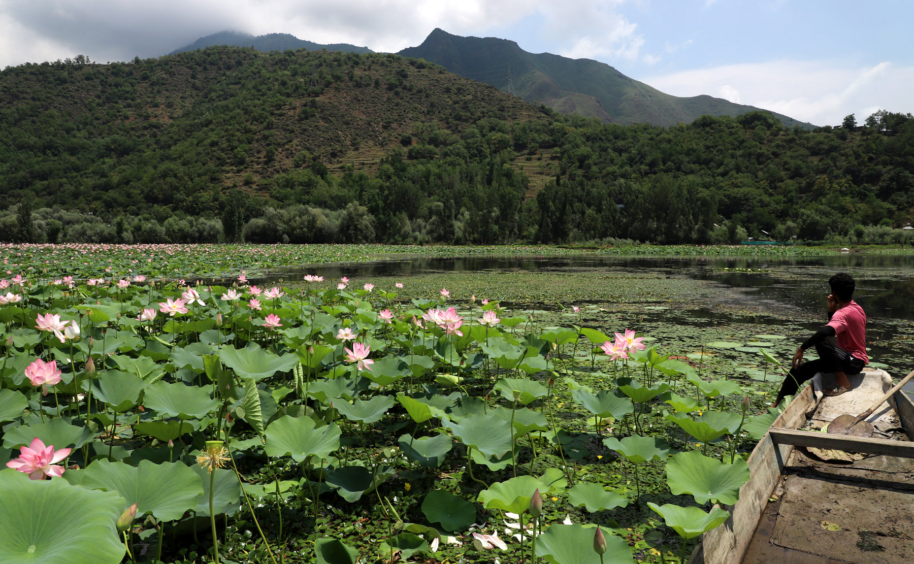 https://www.awazthevoice.in/upload/news/1752319548Wular-lake-in-Bandipora-district-presents-a-mesmerizing-look-these-days-as-lotus-flowers-are-in-full-bloom-thus-enhancing-the-beauty-of-the-lake-9.jpg