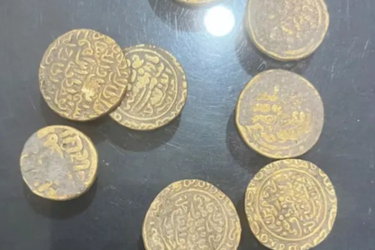 Ancient Coins Unearthed in Aligarh Village of UP (file)