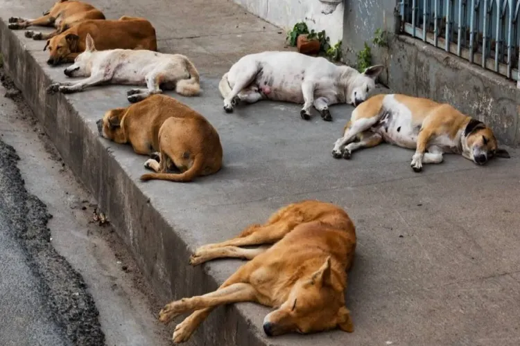 Representational Image
