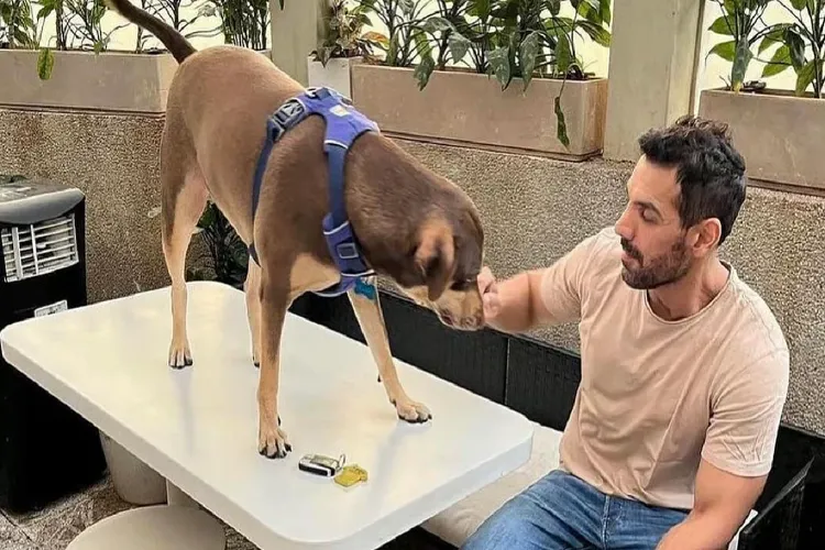 Actor John Abraham
