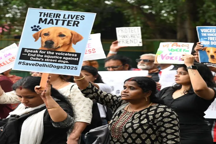 Protests against SC order of strays in Chennai