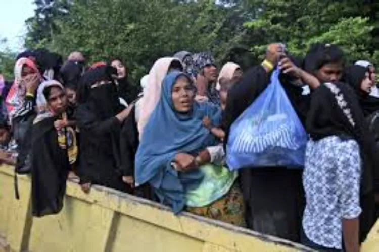 Rohingya refugees (Human Rights Watch)