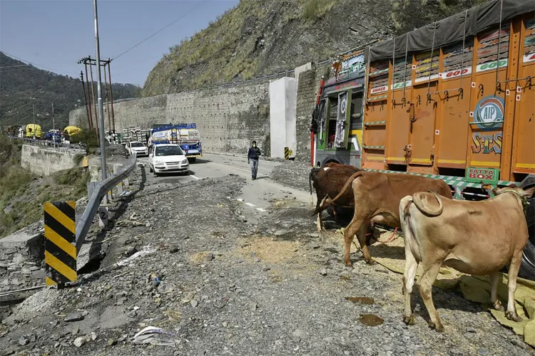 Representational Image