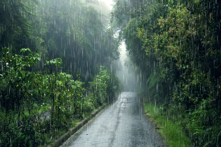 Monsoon rain