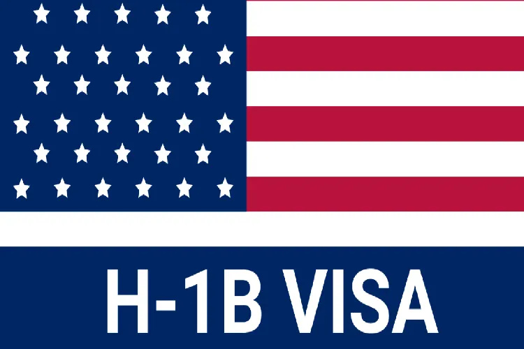 HI-B Visa (representational image)