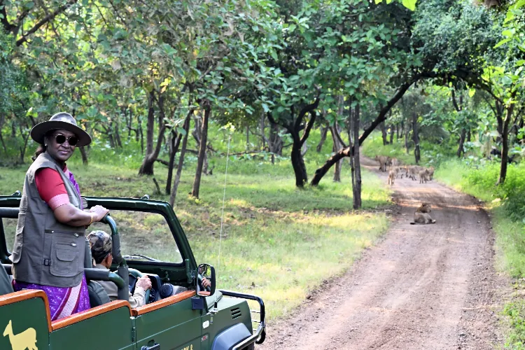 President Droupadi Murmu visits Gir National Park