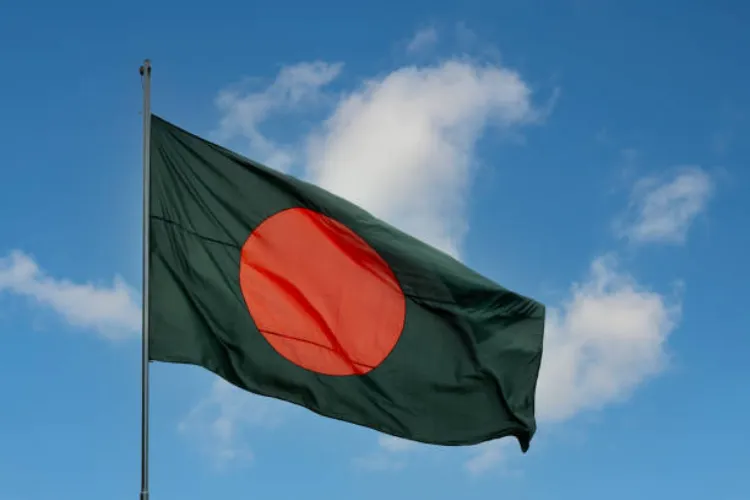 The flag of Bangladesh