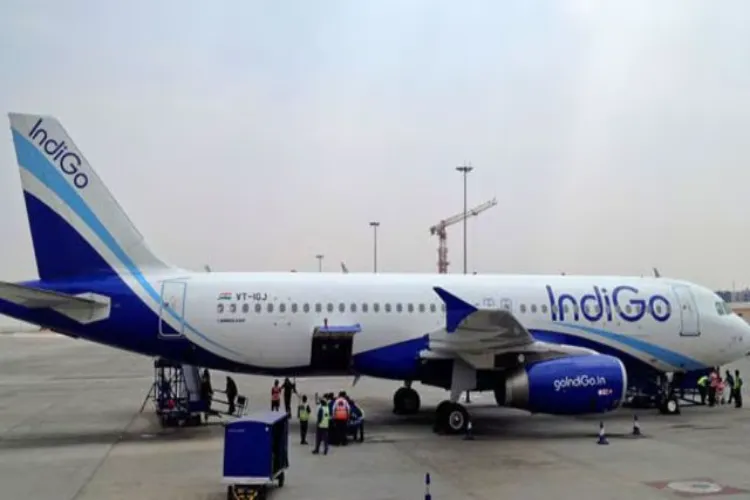 Indigo fl;ight (File)