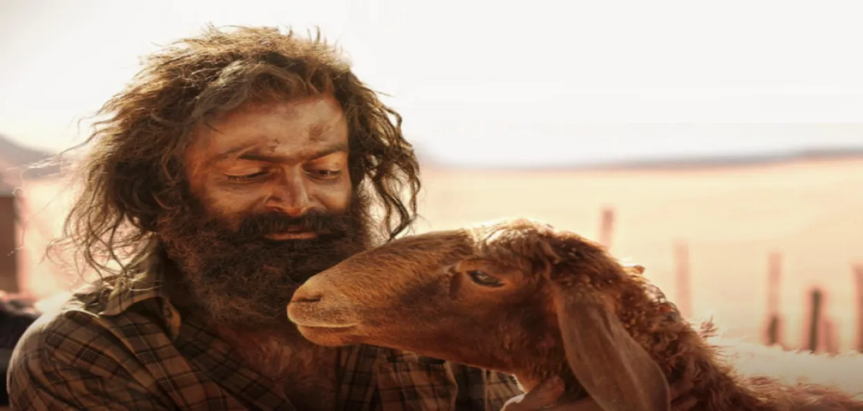 Scene from the movie Aadujeevitham: the Goat Life