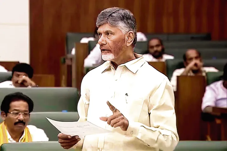 Andhra Pradesh Chief Minister N Chandrababu Naidu
