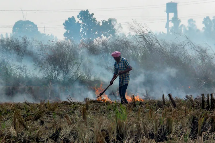 A farmer burning stubblein his field (Representational image)