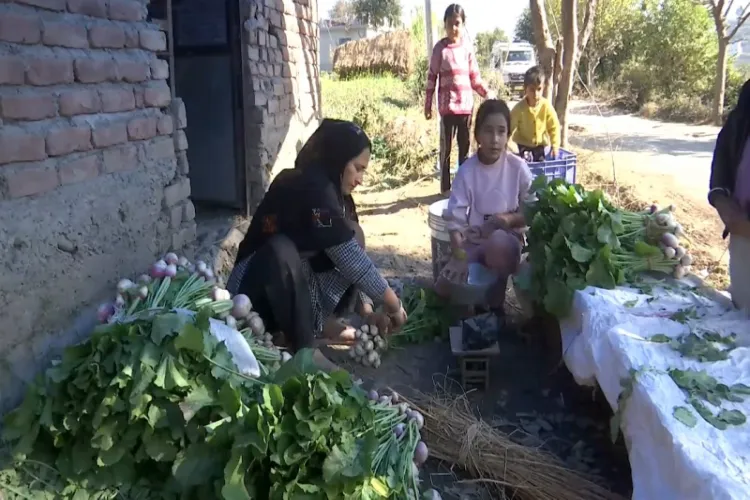 J&K: 50 families of Mehra village turn to organic farming