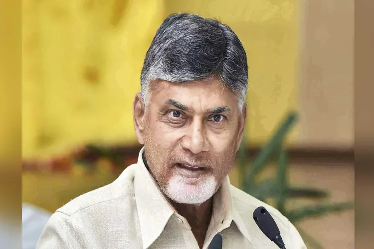 Andhra Pradesh Chief Minister N Chandrababu Naidu