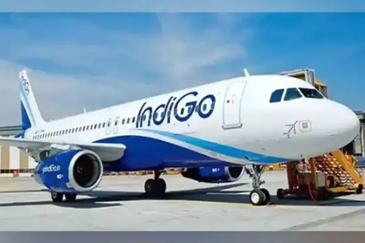 Indigo Airlines