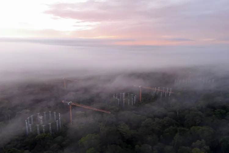 Representational Image