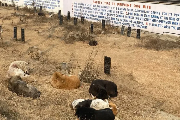 Representational Image