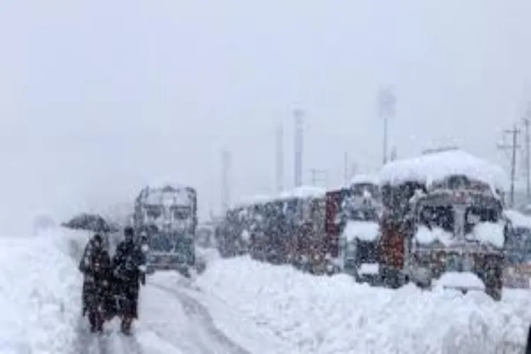 Kashmir region experienced snowfall overnight