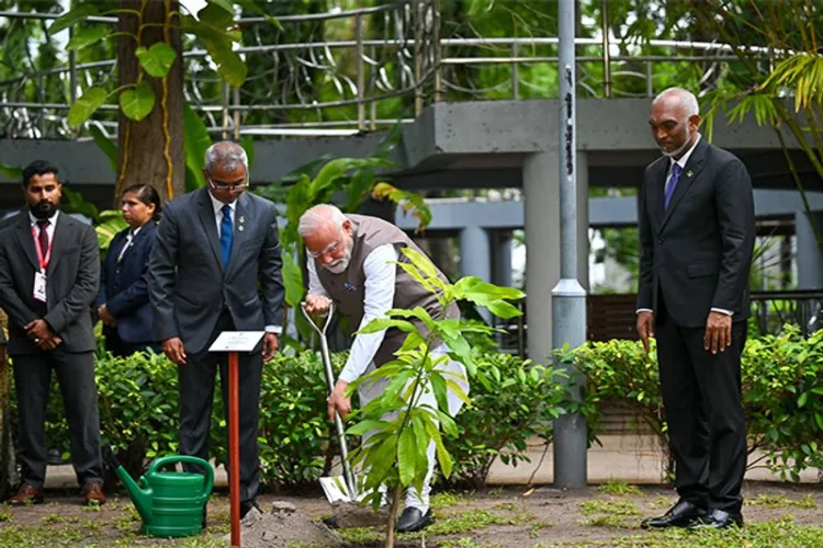 Prime Minister Narendra Modi planted a sapling at the Ethiopian Parliament as part of India's 